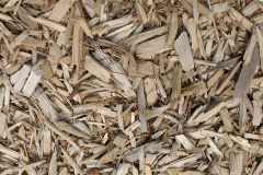 biomass boilers Pickwood Scar